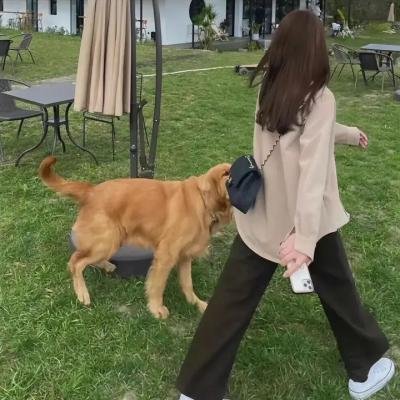 剧情经典